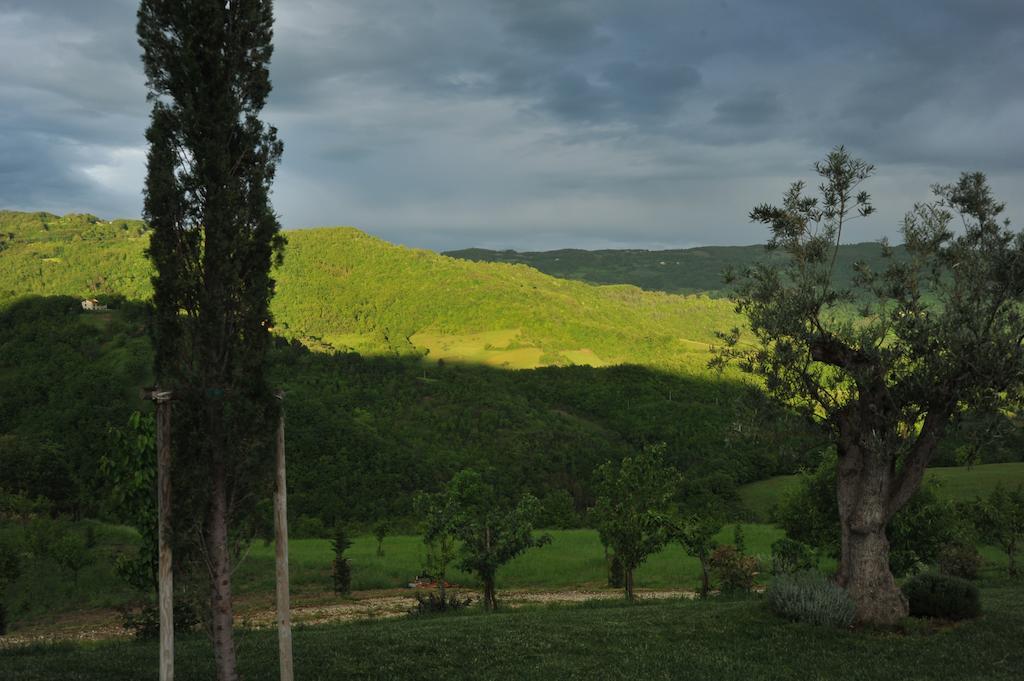 Agriturismo Paradiso 44 Assisi Exterior photo