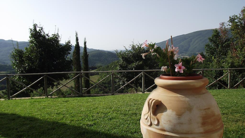 Agriturismo Paradiso 44 Assisi Exterior photo