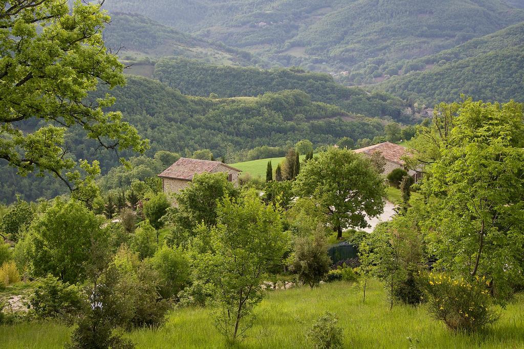 Agriturismo Paradiso 44 Assisi Exterior photo